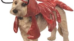 Rubies Mr. Claws Lobster Pet Costume